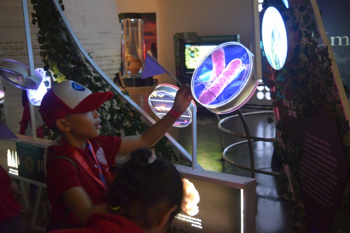Mind Museum Boy